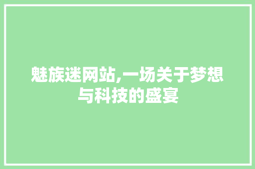 魅族迷网站,一场关于梦想与科技的盛宴