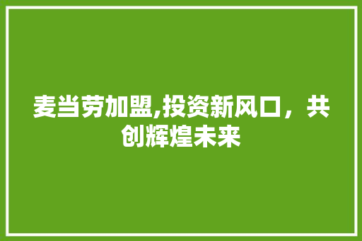 麦当劳加盟,投资新风口，共创辉煌未来
