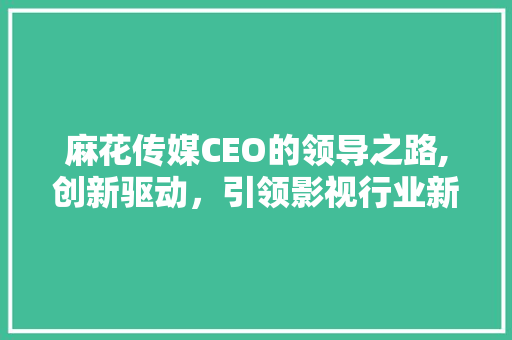 麻花传媒CEO的领导之路,创新驱动，引领影视行业新风向 麻花传媒CEO的领导之路,创新驱动，引领影视行业新风向 神马SEO