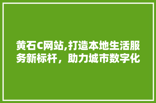 黄石C网站,打造本地生活服务新标杆，助力城市数字化转型 黄石C网站,打造本地生活服务新标杆，助力城市数字化转型 必应SEO