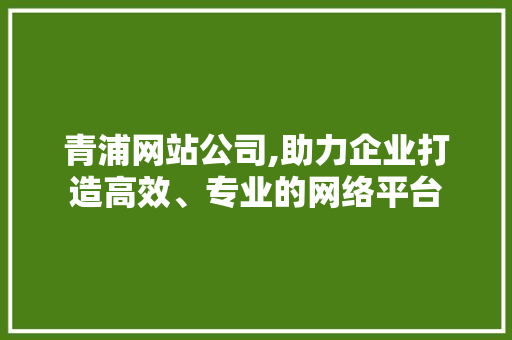 青浦网站公司,助力企业打造高效、专业的网络平台 青浦网站公司,助力企业打造高效、专业的网络平台 百度SEO