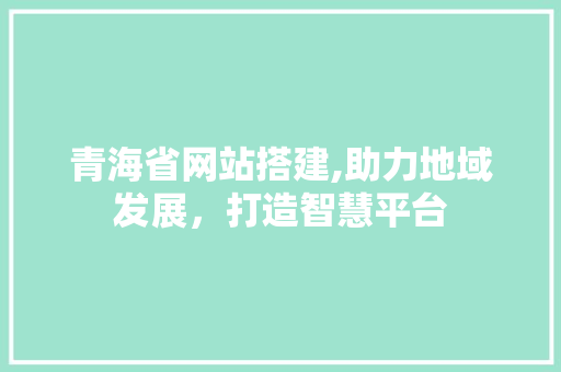 青海省网站搭建,助力地域发展，打造智慧平台