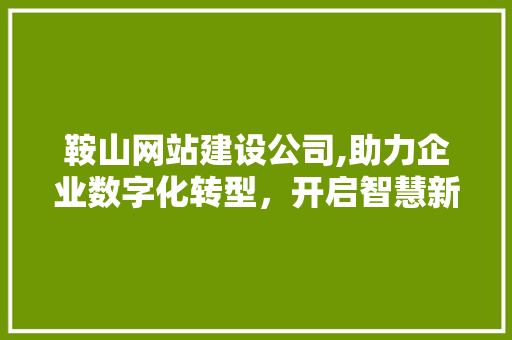 鞍山网站建设公司,助力企业数字化转型，开启智慧新篇章 鞍山网站建设公司,助力企业数字化转型，开启智慧新篇章 网站建设公司
