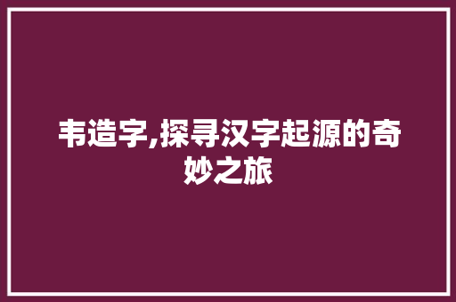 韦造字,探寻汉字起源的奇妙之旅