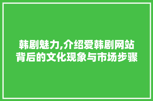 韩剧魅力,介绍爱韩剧网站背后的文化现象与市场步骤