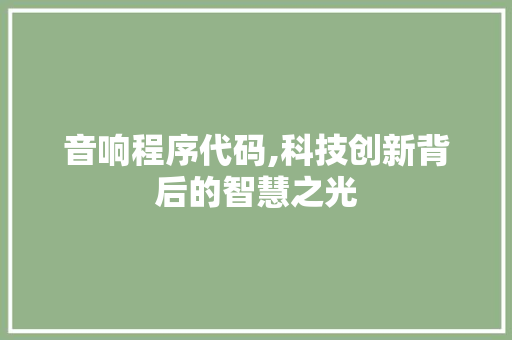 音响程序代码,科技创新背后的智慧之光