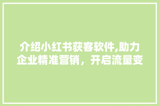 介绍小红书获客软件,助力企业精准营销，开启流量变现新篇章 介绍小红书获客软件,助力企业精准营销，开启流量变现新篇章 网站建设公司