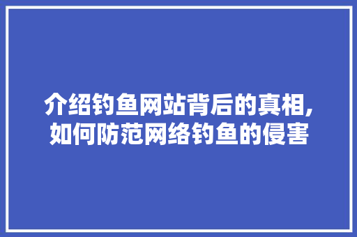 介绍钓鱼网站背后的真相,如何防范网络钓鱼的侵害 介绍钓鱼网站背后的真相,如何防范网络钓鱼的侵害 百度SEO