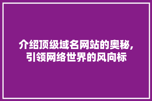 介绍顶级域名网站的奥秘,引领网络世界的风向标