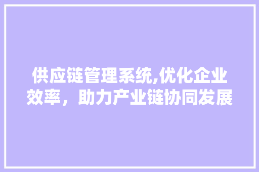 供应链管理系统,优化企业效率，助力产业链协同发展