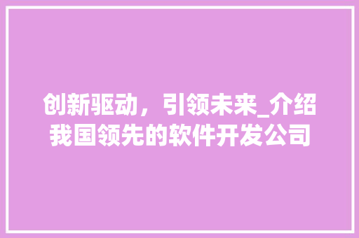 创新驱动，引领未来_介绍我国领先的软件开发公司