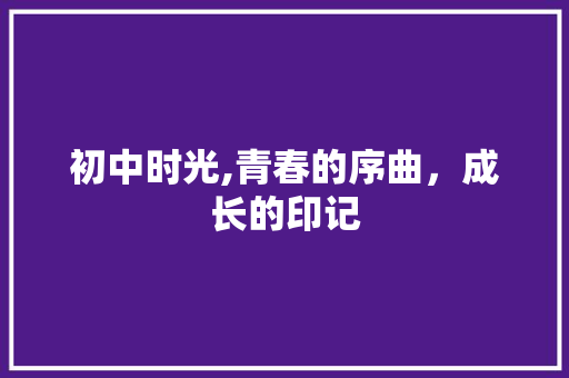 初中时光,青春的序曲，成长的印记