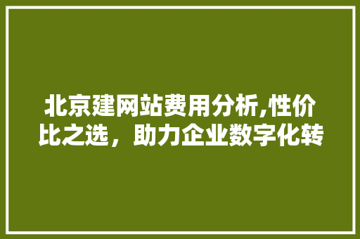 北京建网站费用分析,性价比之选，助力企业数字化转型 北京建网站费用分析,性价比之选，助力企业数字化转型 神马SEO