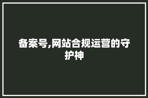 备案号,网站合规运营的守护神