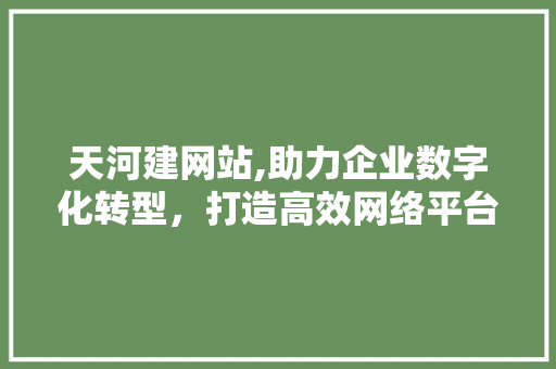 天河建网站,助力企业数字化转型，打造高效网络平台
