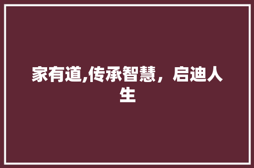 家有道,传承智慧，启迪人生 家有道,传承智慧，启迪人生 网站建设公司