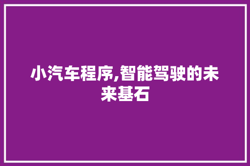 小汽车程序,智能驾驶的未来基石