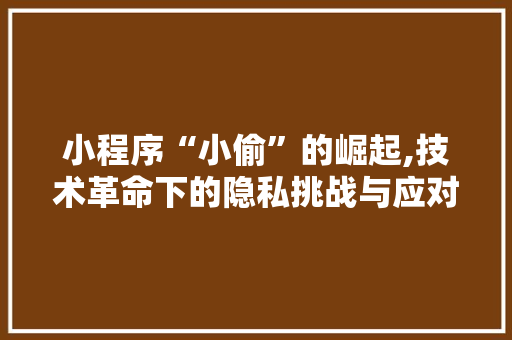 小程序“小偷”的崛起,技术革命下的隐私挑战与应对之路 小程序“小偷”的崛起,技术革命下的隐私挑战与应对之路 百度SEO