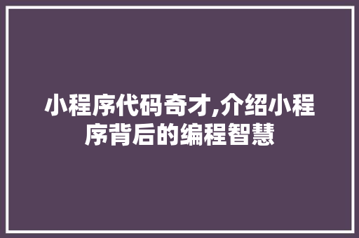 小程序代码奇才,介绍小程序背后的编程智慧 小程序代码奇才,介绍小程序背后的编程智慧 百度SEO