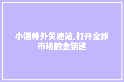 小语种外贸建站,打开全球市场的金钥匙