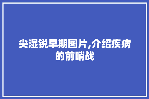 尖湿锐早期图片,介绍疾病的前哨战 尖湿锐早期图片,介绍疾病的前哨战 SEO关键词