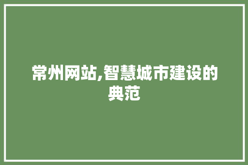 常州网站,智慧城市建设的典范 常州网站,智慧城市建设的典范 必应SEO