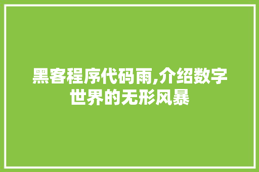 黑客程序代码雨,介绍数字世界的无形风暴