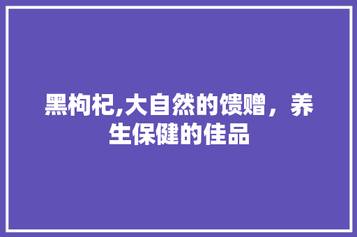 黑枸杞,大自然的馈赠，养生保健的佳品 黑枸杞,大自然的馈赠，养生保健的佳品 必应SEO