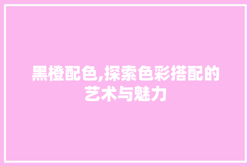 黑橙配色,探索色彩搭配的艺术与魅力 网站建设公司 黑橙配色,探索色彩搭配的艺术与魅力 黑橙配色,探索色彩搭配的艺术与魅力 网站建设公司