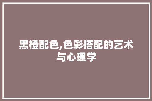 黑橙配色,色彩搭配的艺术与心理学