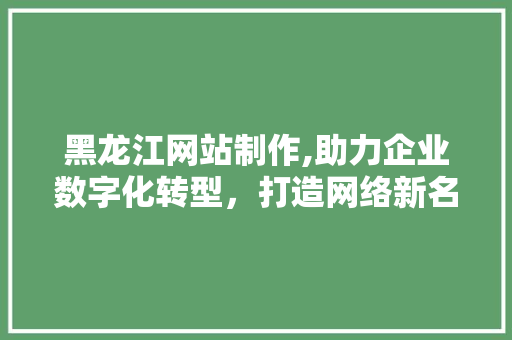 黑龙江网站制作,助力企业数字化转型，打造网络新名片 黑龙江网站制作,助力企业数字化转型，打造网络新名片 网站建设公司