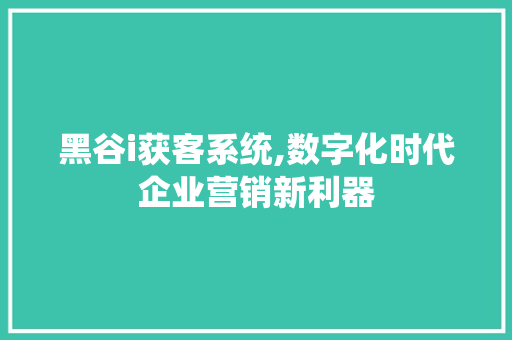 黑谷i获客系统,数字化时代企业营销新利器 黑谷i获客系统,数字化时代企业营销新利器 神马SEO