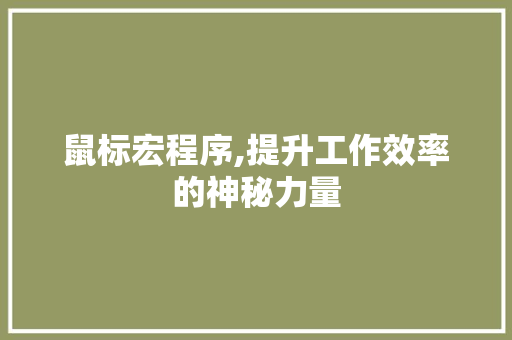 鼠标宏程序,提升工作效率的神秘力量