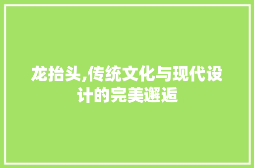 龙抬头,传统文化与现代设计的完美邂逅 龙抬头,传统文化与现代设计的完美邂逅 神马SEO