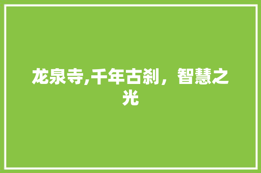 龙泉寺,千年古刹，智慧之光
