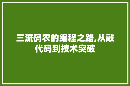 三流码农的编程之路,从敲代码到技术突破 三流码农的编程之路,从敲代码到技术突破 网站建设公司