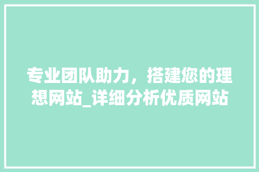 专业团队助力，搭建您的理想网站_详细分析优质网站建设公司 专业团队助力，搭建您的理想网站_详细分析优质网站建设公司 神马SEO