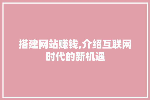 搭建网站赚钱,介绍互联网时代的新机遇 搭建网站赚钱,介绍互联网时代的新机遇 必应SEO