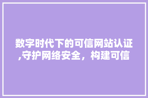数字时代下的可信网站认证,守护网络安全，构建可信环境