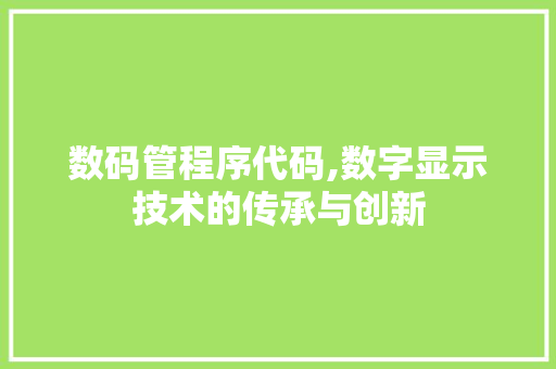 数码管程序代码,数字显示技术的传承与创新