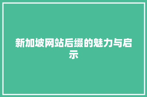新加坡网站后缀的魅力与启示