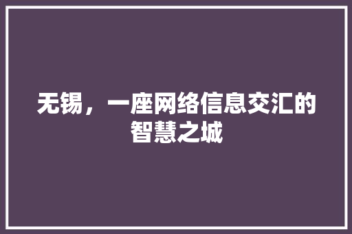 无锡，一座网络信息交汇的智慧之城