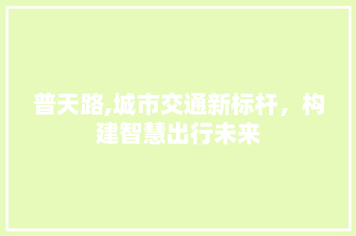 普天路,城市交通新标杆，构建智慧出行未来