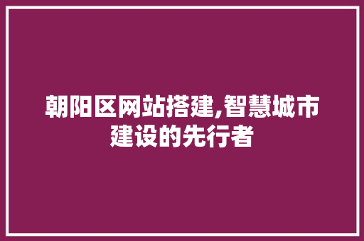 朝阳区网站搭建,智慧城市建设的先行者