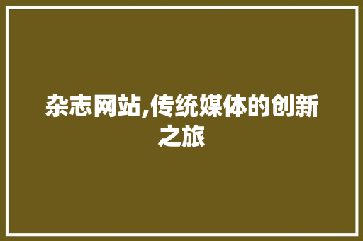 杂志网站,传统媒体的创新之旅