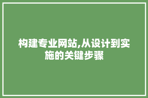 构建专业网站,从设计到实施的关键步骤 构建专业网站,从设计到实施的关键步骤 搜狗SEO