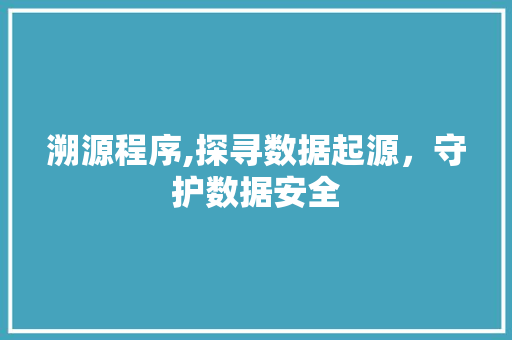 溯源程序,探寻数据起源，守护数据安全