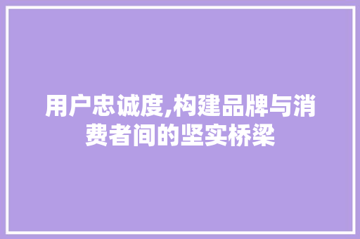 用户忠诚度,构建品牌与消费者间的坚实桥梁 用户忠诚度,构建品牌与消费者间的坚实桥梁 网站建设公司