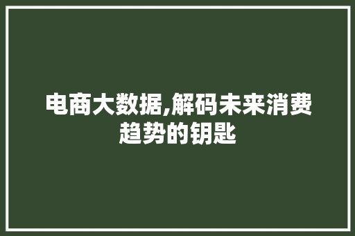 电商大数据,解码未来消费趋势的钥匙 电商大数据,解码未来消费趋势的钥匙 必应SEO