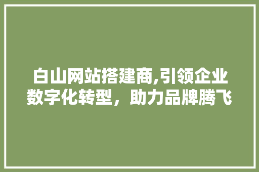 白山网站搭建商,引领企业数字化转型，助力品牌腾飞
